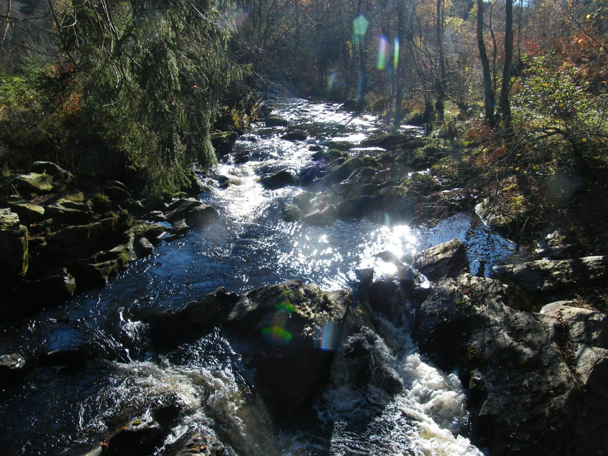 Am Fluss Im Haus An Der Rur Apartment